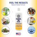 Kool 'N Fit Pain Relieving Spray